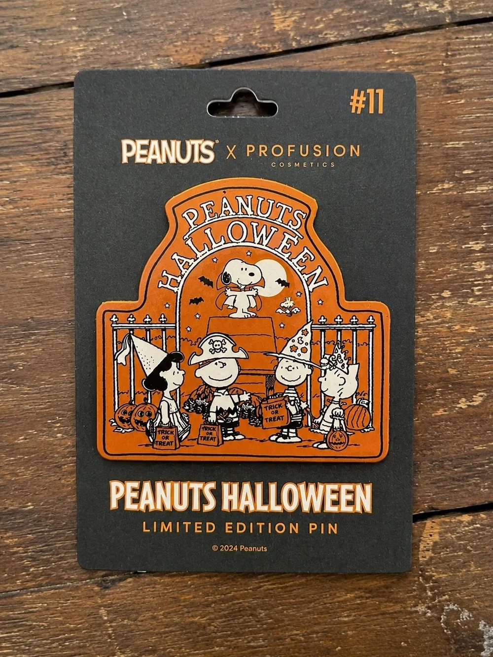 Peanuts x Profusion Halloween Limited Edition Pin #11